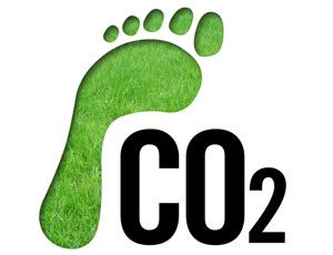 Learn Your Carbon Footprint