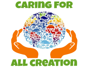 Caring For All Creation